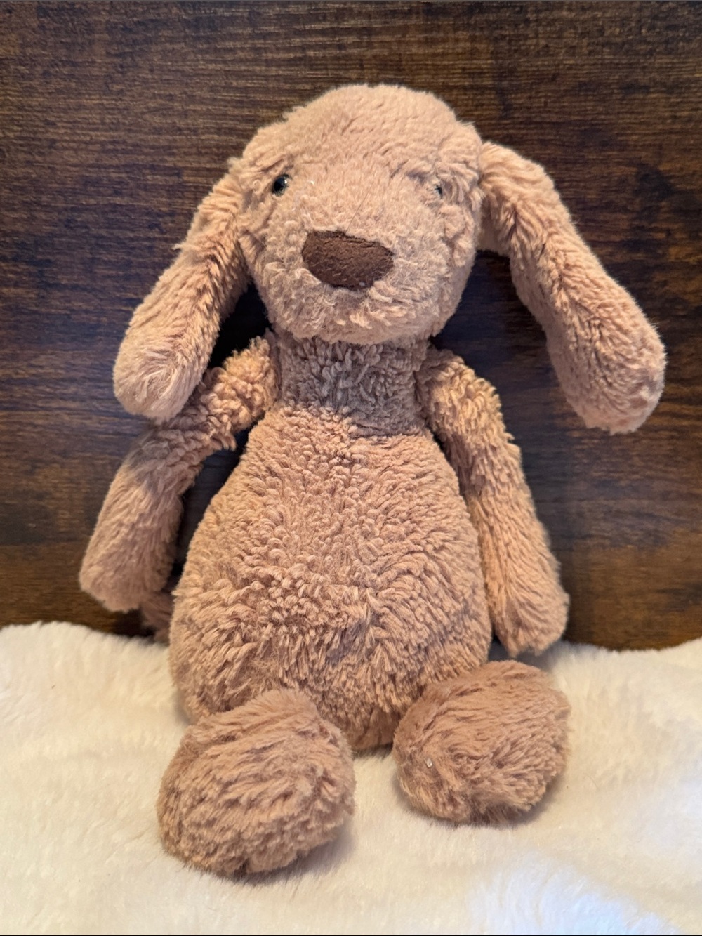 Little Jellycat puppy